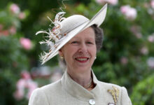 Принцесса Анна, Королевская принцесса anna Принцесса Анна, Королевская принцесса