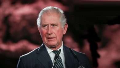 scale 2400 3 Болезнь принца Чарльза вызвала у британцев возмущение