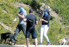 МеганМаркл-шоу продолжается: Сассексы на прогулке с собаками nintchdbpict000577705069 МеганМаркл-шоу продолжается: Сассексы на прогулке с собаками