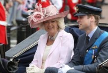 Какой титул будет у Камиллы, когда принц Уильям станет королем main qimg ddfd90cadf83949be3e5dc624291f6f5 Какой титул будет у Камиллы, когда принц Уильям станет королем