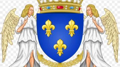kisspng kingdom of france national emblem of france coat o france 5ac93ce36d58d7.3708721115231377634479 Почему угасла династия Валуа