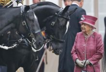 1149198 12 20190416132527 Королева и скачки: выдающаяся история успеха