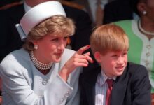 Принц Гарри говорит, что Диана предсказала Megxit и оставила ему деньги, чтобы сбежать от королевской семьи 15 5 Принц Гарри говорит, что Диана предсказала Megxit и оставила ему деньги, чтобы сбежать от королевской семьи