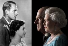 Королевская сказка cu 6kvusany Королевская сказка