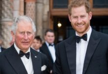 2 Принц Чарльз хочет поговорить с Гарри, чтобы положить конец кризису Megxit
