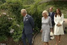 12 Члены королевской семьи поужинали с лидерами G7