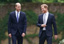 Члены королевской семьи угрожают бойкотом BBC из-за враждебной программы 23 Члены королевской семьи угрожают бойкотом BBC из-за враждебной программы