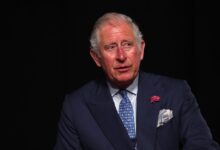 242801788 845483939487693 5927108736072891001 n Принц Чарльз запускает телеканал о климате