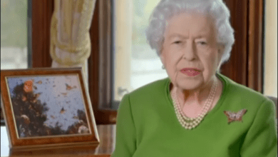 screenshot 2 Королева Елизавета не вспомнила своего внука, принца Гарри, в обращении COP26
