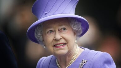 queen in 2013 i images 1140x694 1 Королева отменила дипломатический прием по совету министра иностранных дел