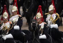 Принц Уильям на последней репетиции перед Trooping the Color 0 colonels review 5 Принц Уильям на последней репетиции перед Trooping the Color