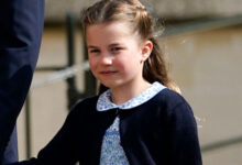 charlotte cat Как дочь Уильяма и Кейт поддерживает связь с Арчи и Лилибет