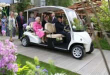 Елизавета II и члены королевской семьи на выставке цветов в Челси william catherine82 283225929 2257795167702220 3207741457289126638 n Елизавета II и члены королевской семьи на выставке цветов в Челси